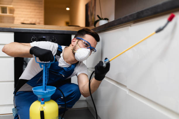 Best Best Pest Control Companies  in Wesson, MS