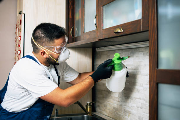 Best Pest Removal Services  in Wesson, MS