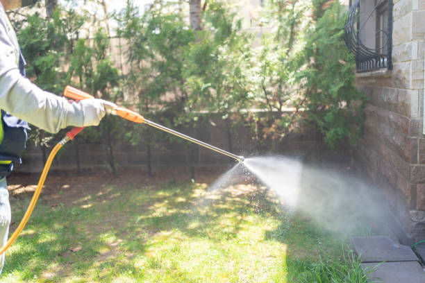 Insect Control in Wesson, MS