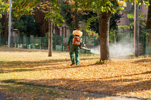 Best Pest Inspection Near Me  in Wesson, MS