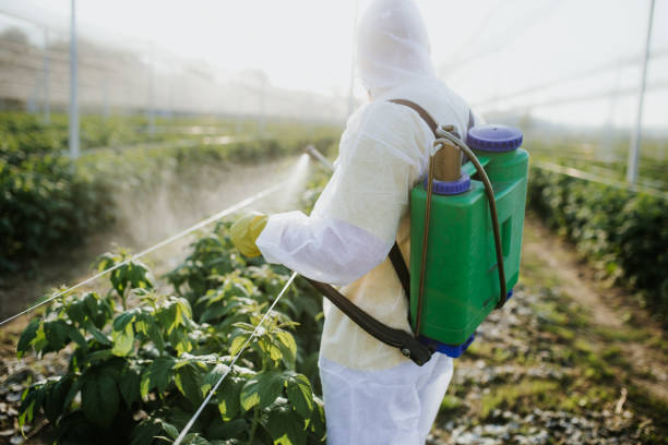Professional Pest Control in Wesson, MS